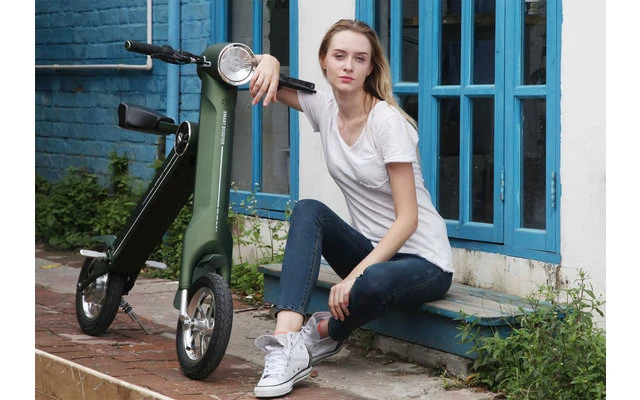 Lehe K1 + E-Mofa Olivgrün â Bild 7