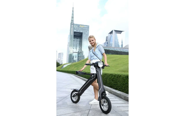 Lehe K1 + E-Mofa Olivgrün â Bild 2