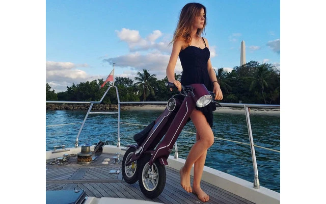 Lehe K1 + E-Mofa Olivgrün â Bild 6