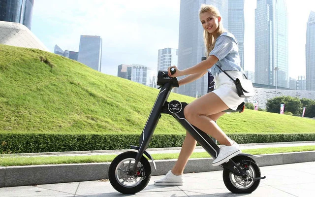 Lehe K1 + E-Mofa Olivgrün â Bild 3