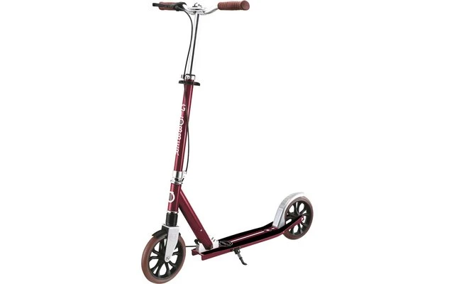 Globber NL-205 Deluxe Klappbarer Scooter Silber â Bild 5