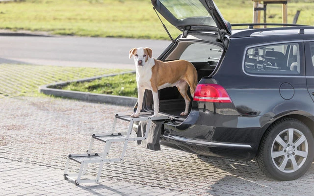 TRIXIE Aluminium Falt-Treppe Für Hunde â Bild 5