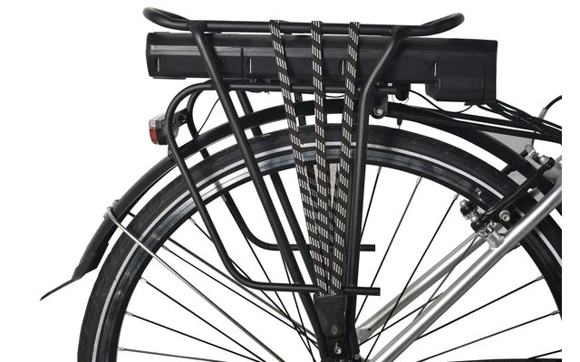 LLobe SilverLine City-E-Bike 28 Zoll 10 Ah Silber â Bild 5