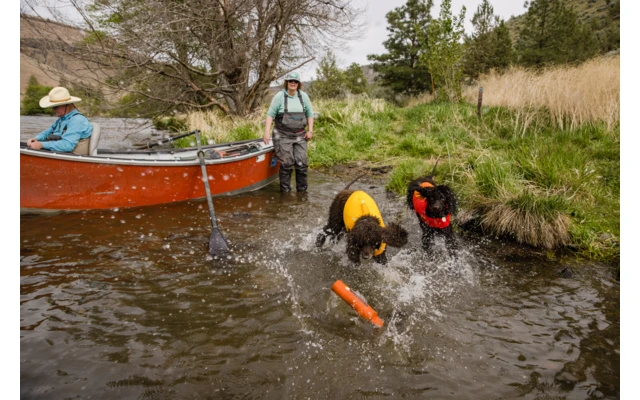 Ruffwear Float Coat Schwimmweste Für Hunde Wave Orange XS â Bild 7
