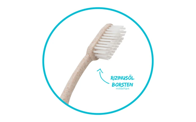 Chinchilla Zahnbürste Biologisch Abbaubar 1 Stück â Bild 2