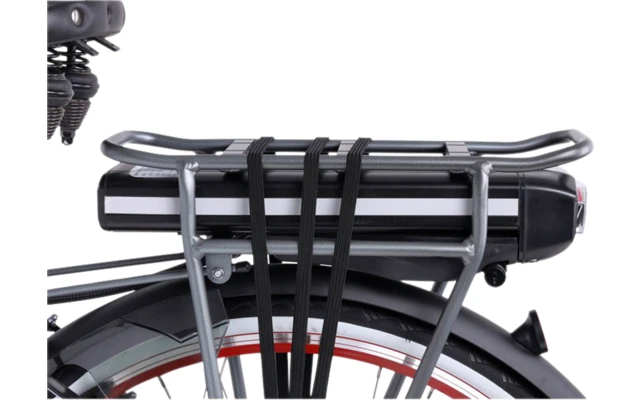 Llobe Rosendaal 3 Lady City E-Bike 28 Zoll Grau 13 Ah â Bild 5