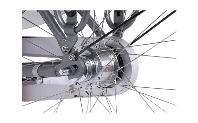 Llobe Rosendaal 3 Lady City E-Bike 28 Zoll Grau 13 Ah â Bild 6