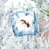 Swissinno Insekten Frostspray - Insektizidfrei-