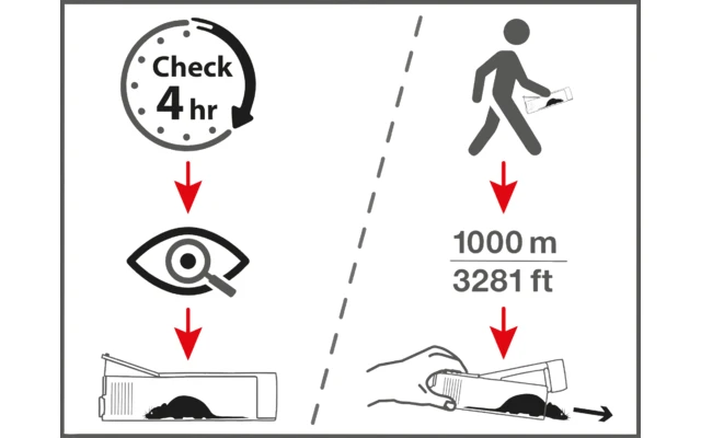Swissinno Lebendfalle Maushaus Inkl. Köder Giftfrei â Bild 2