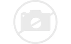 Jollypaw Napf Edelstahl Mit Gummiring 0,7 L/º 21 Cm